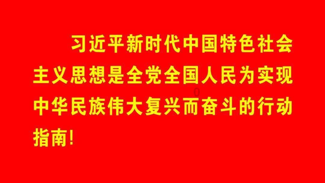 芭比娃娃的服装